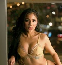 TsSabrina - Transsexual escort in Bangkok