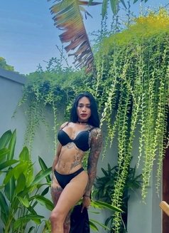 Tsmarcella - Transsexual escort in Bali Photo 23 of 24