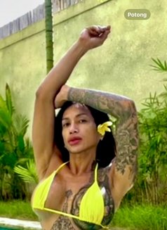 Tsmarcella - Acompañantes transexual in Bali Photo 27 of 29