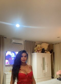 Tsmelly - Acompañantes transexual in Bali Photo 3 of 4