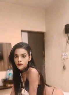 Tsnidhi - Transsexual escort in New Delhi Photo 17 of 24