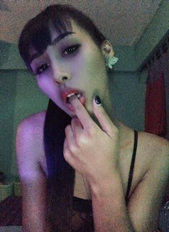 Tspatty Both - Transsexual escort agency in Bangkok Photo 2 of 8