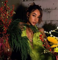 TSPIA - Transsexual escort in Riyadh Photo 19 of 26