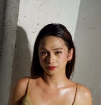 Tsprettydoll - Transsexual escort in Bangkok