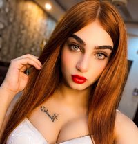 Tstmara - Acompañantes transexual in Cairo
