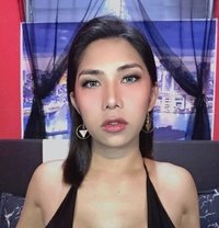 TsXPatricia - Transsexual escort in Angeles City