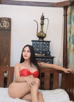 TSyoungPamela - Transsexual escort in Manila Photo 4 of 12