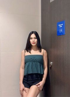 TSyoungPamela - Transsexual escort in Manila Photo 6 of 12