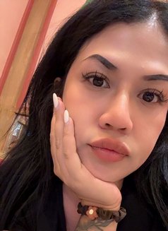 tt incall, outcall - escort in Bangkok Photo 6 of 6