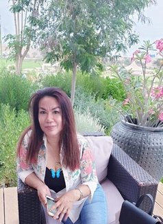 Tulip Lady Good Massage - masseuse in Muscat Photo 12 of 15