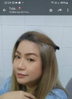 Tulip Lady Good Massage - masseuse in Muscat Photo 14 of 15