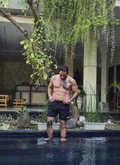 Türk - Male escort in Bali Photo 3 of 3