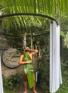 Turkish Guy - Male escort in Phuket Photo 1 of 13