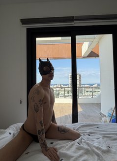 Turkishtwink - Male escort in İstanbul Photo 7 of 8