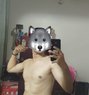 Tushar - Male escort in Noida Photo 1 of 1
