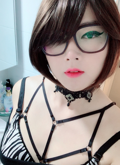 TV PussyRay - Transsexual escort in Seoul Photo 14 of 22