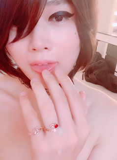 TV PussyRay - Transsexual escort in Seoul Photo 15 of 22