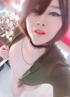 TV PussyRay - Transsexual escort in Seoul Photo 20 of 22