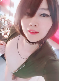 TV PussyRay - Transsexual escort in Seoul Photo 21 of 22