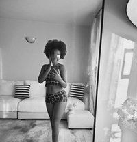 Twin❣️petite ⚜️ Thika Road - escort in Nairobi