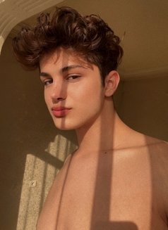 Twink Aref - Acompañantes masculino in İstanbul Photo 1 of 9
