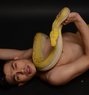 Twink Bi - Male escort in Paris Photo 10 of 22