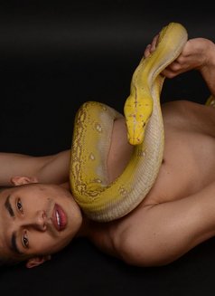 Twink Bi - Male escort in Johor Bahru Photo 10 of 15