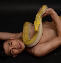 Twink Bi - Male escort in Paris