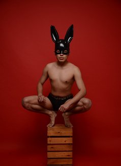 Twink Bi - Male escort in Johor Bahru Photo 15 of 15