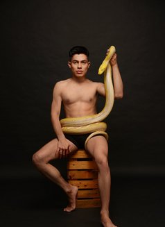 Twink Bi - Male escort in Georgetown, Penang Photo 13 of 20
