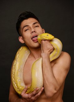 Twink Bi - Male escort in Georgetown, Penang Photo 14 of 20