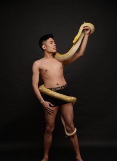 Twink Bi - Acompañantes masculino in Paphos Photo 3 of 17