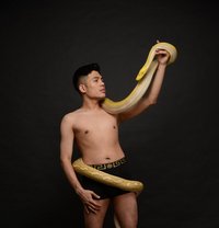 Twink Bi - Acompañantes masculino in Paphos
