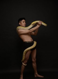 Twink Bi - Acompañantes masculino in Paphos Photo 6 of 17