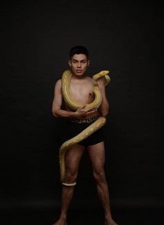 Twink Bi - Acompañantes masculino in Paphos Photo 7 of 17