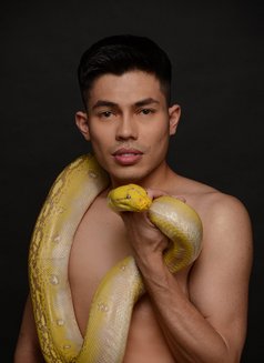 Twink Bi - Acompañantes masculino in Paphos Photo 9 of 17