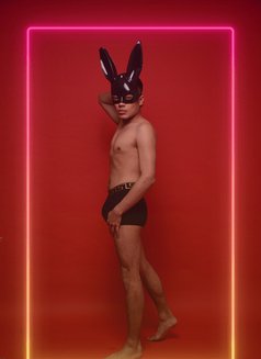 Twink Bi - Acompañantes masculino in Paphos Photo 13 of 17