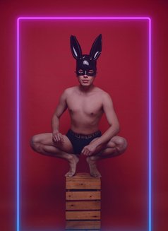 Twink Bi - Acompañantes masculino in Paphos Photo 14 of 17