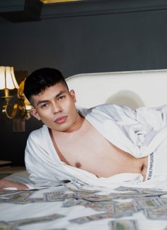 Twink Bi - Male escort in Paris Photo 22 of 22