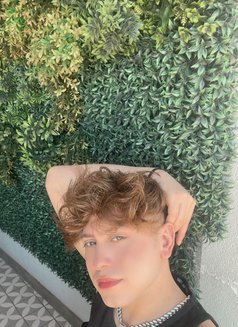 Twinkedvard - Male escort in Jeddah Photo 6 of 8