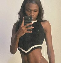 Tyger - Transsexual escort in Johannesburg