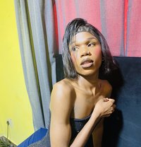 Tyger - Transsexual escort in Johannesburg