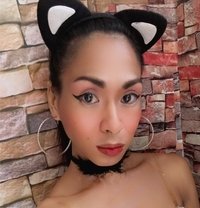 Tyronia - Transsexual escort in Manila