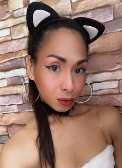 Tyronia - Transsexual escort in Manila Photo 8 of 18