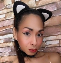 Tyronia - Transsexual escort in Manila