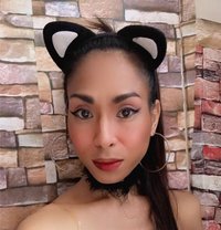 Tyronia - Acompañantes transexual in Manila