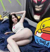 Aisha new - escort in Al Manama