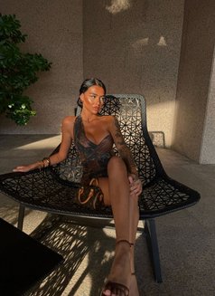 UK British Babe Maddie - escort in Madrid Photo 11 of 11
