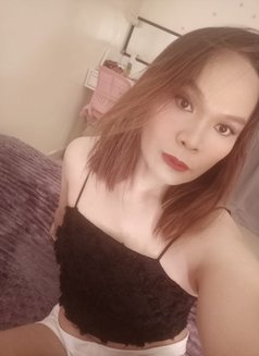 Sally - Transsexual escort in Ajmān Photo 4 of 7