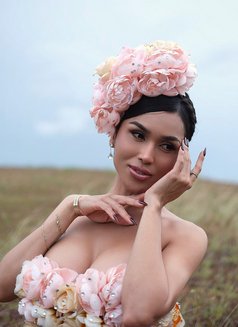 Under the Cover with Pia depart soon - Transsexual escort in Coron Photo 30 of 30